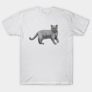 Cat - Chartreaux - Blue T-Shirt